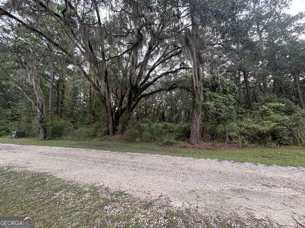 Picture 6