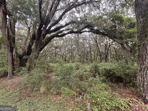 Land, Darien, GA