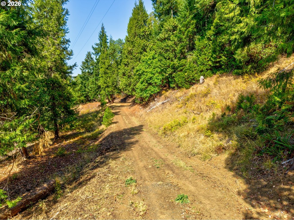Picture 17