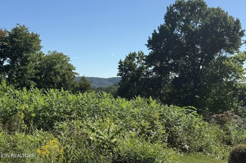 Lots & Acreage, Knoxville, TN