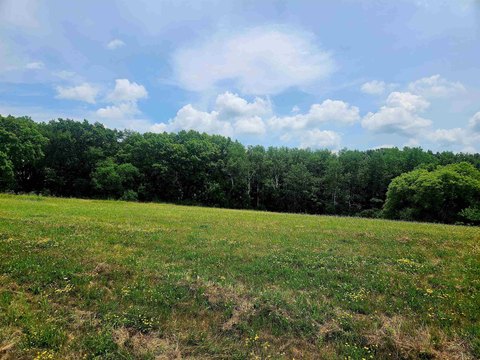 Lake Carroll Build-Ready Lot