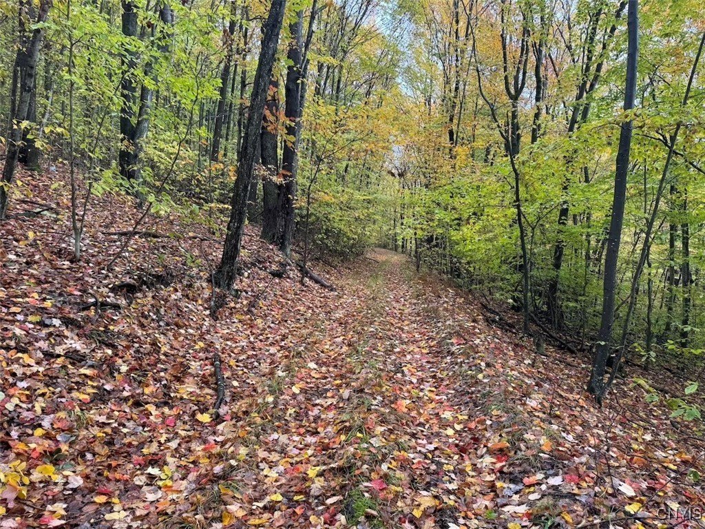Genesee Land for Hunting, Recreation