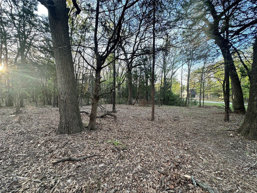 Picture 29