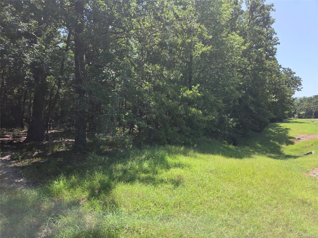 Picture 25