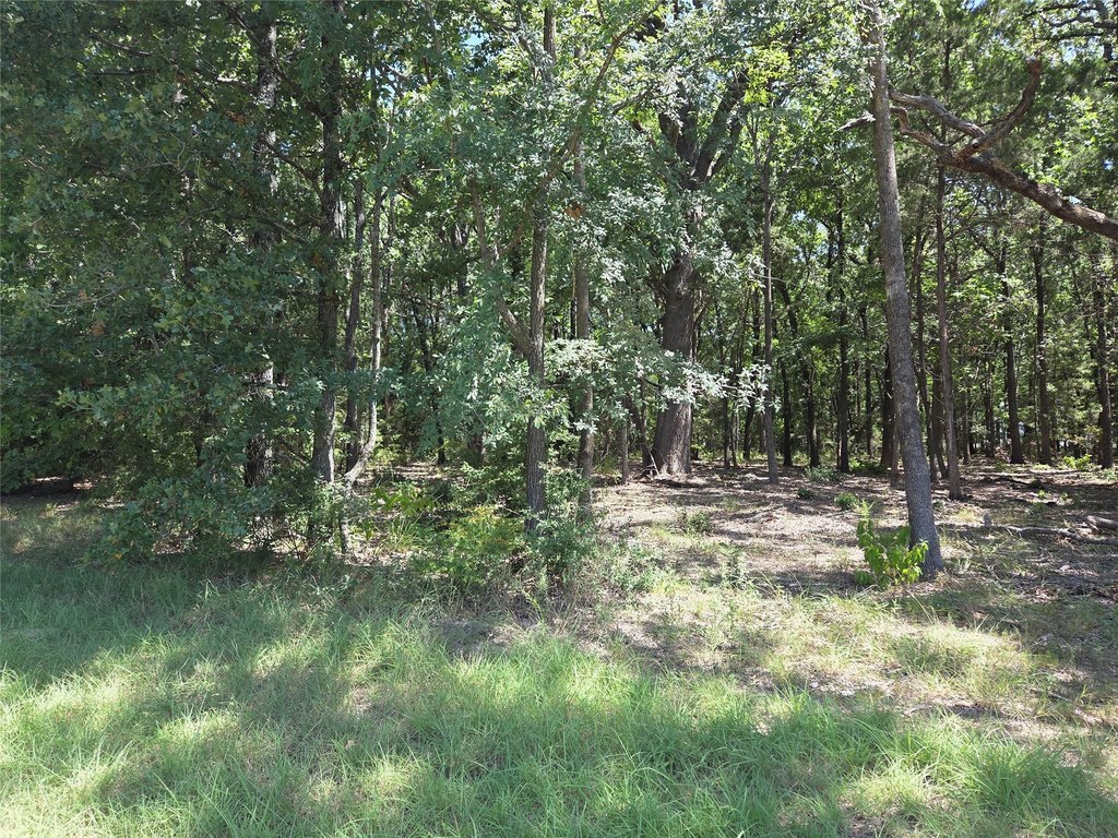 Picture 27
