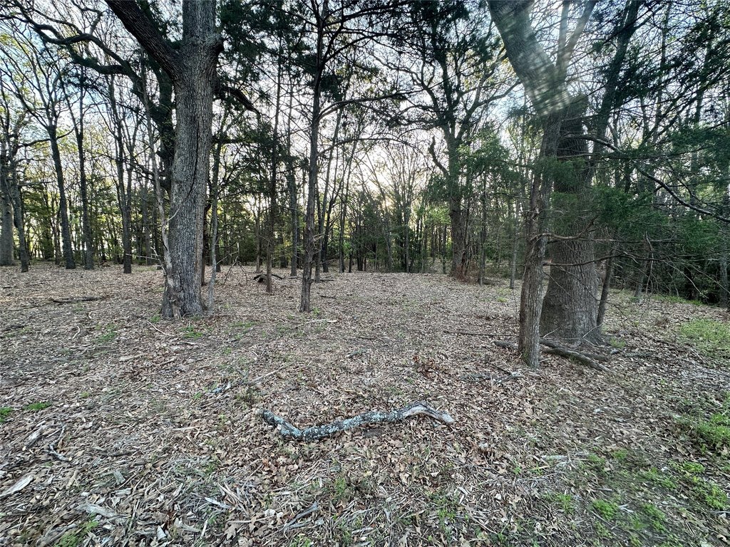 Picture 19