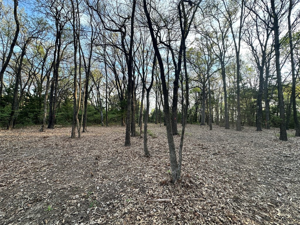 Picture 23