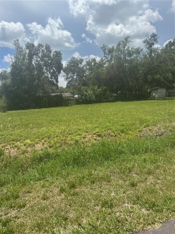 Picture 4