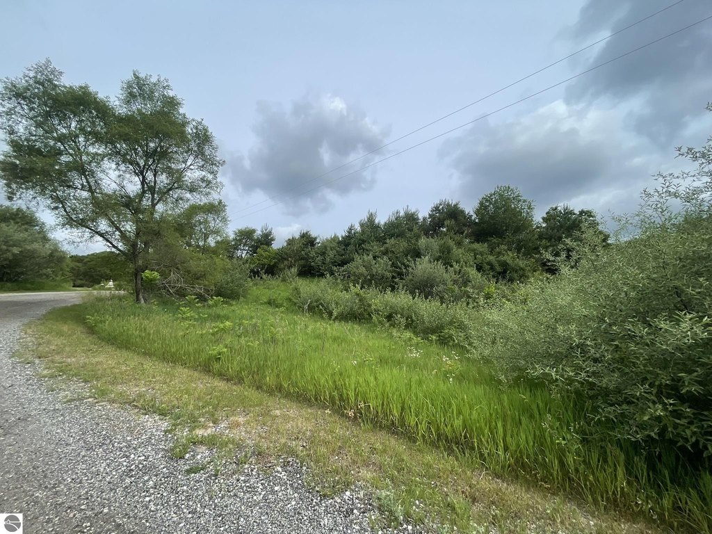 Picture 8