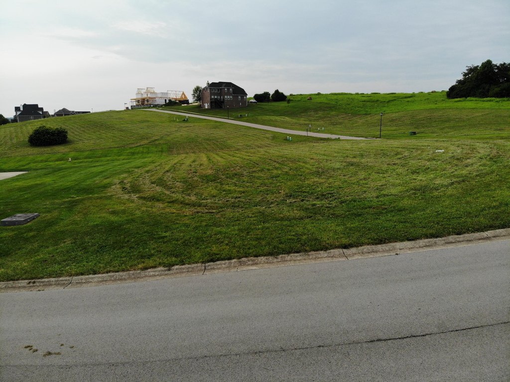 Picture 6