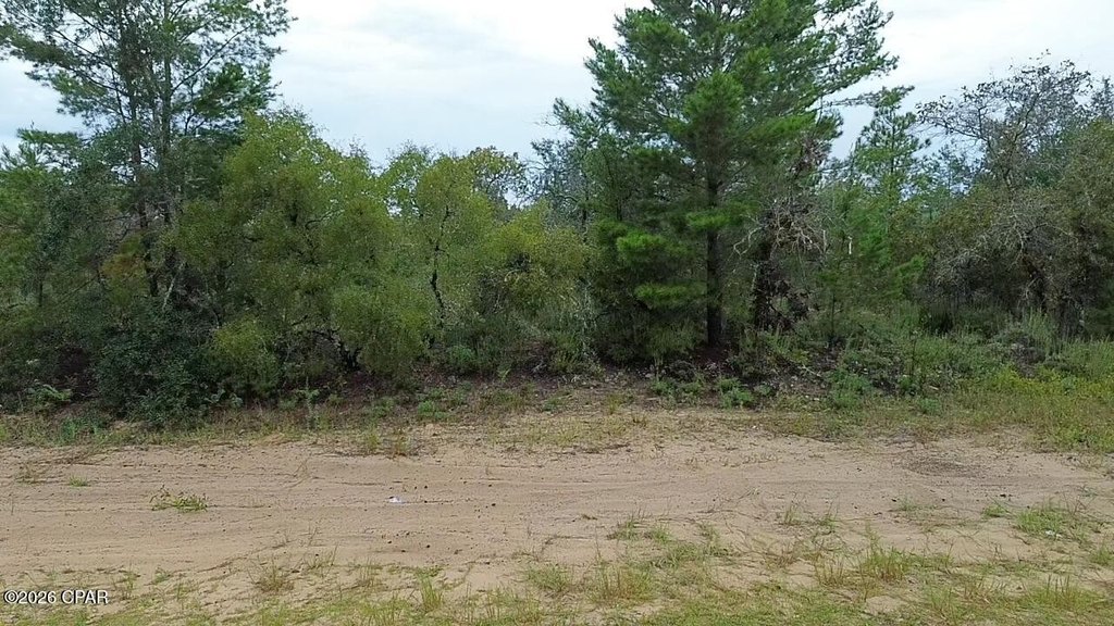 Picture 6