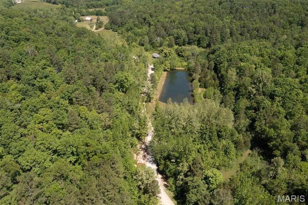 Picture 17