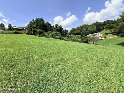 Lots & Acreage, Jacksboro, TN