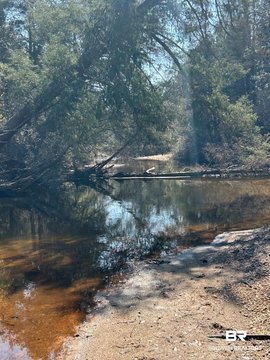 Land Along Little Escambia Creek