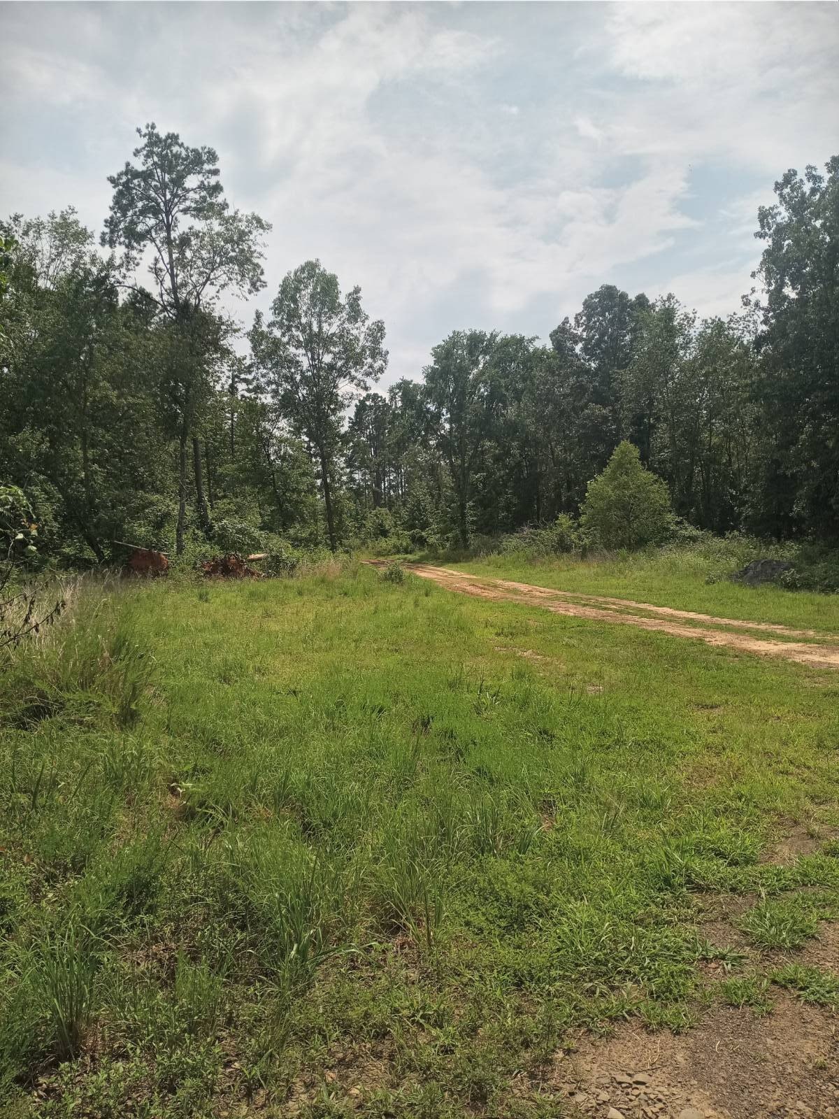 Secluded Ozark Acreage For Sale