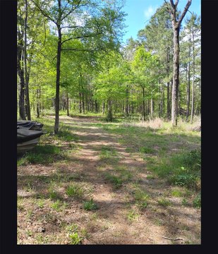 Land, Huntsville, TX
