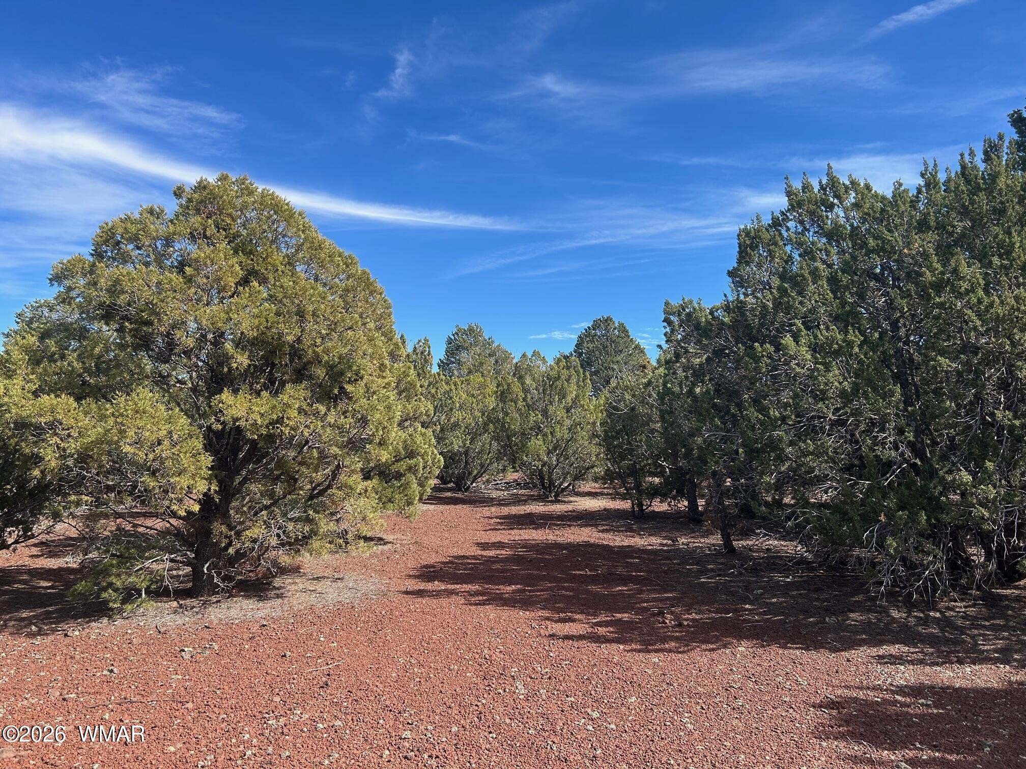 Vernon, AZ Land Parcel
