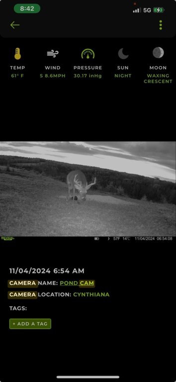 Picture 14
