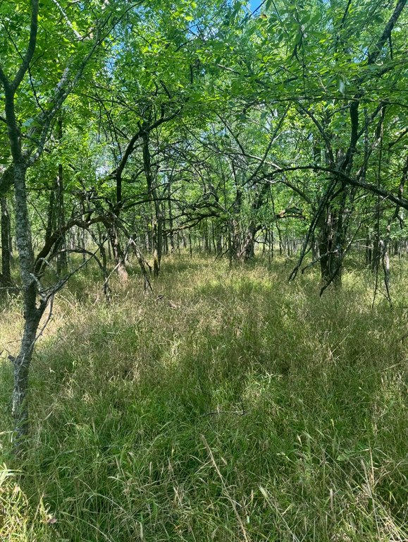 Picture 3