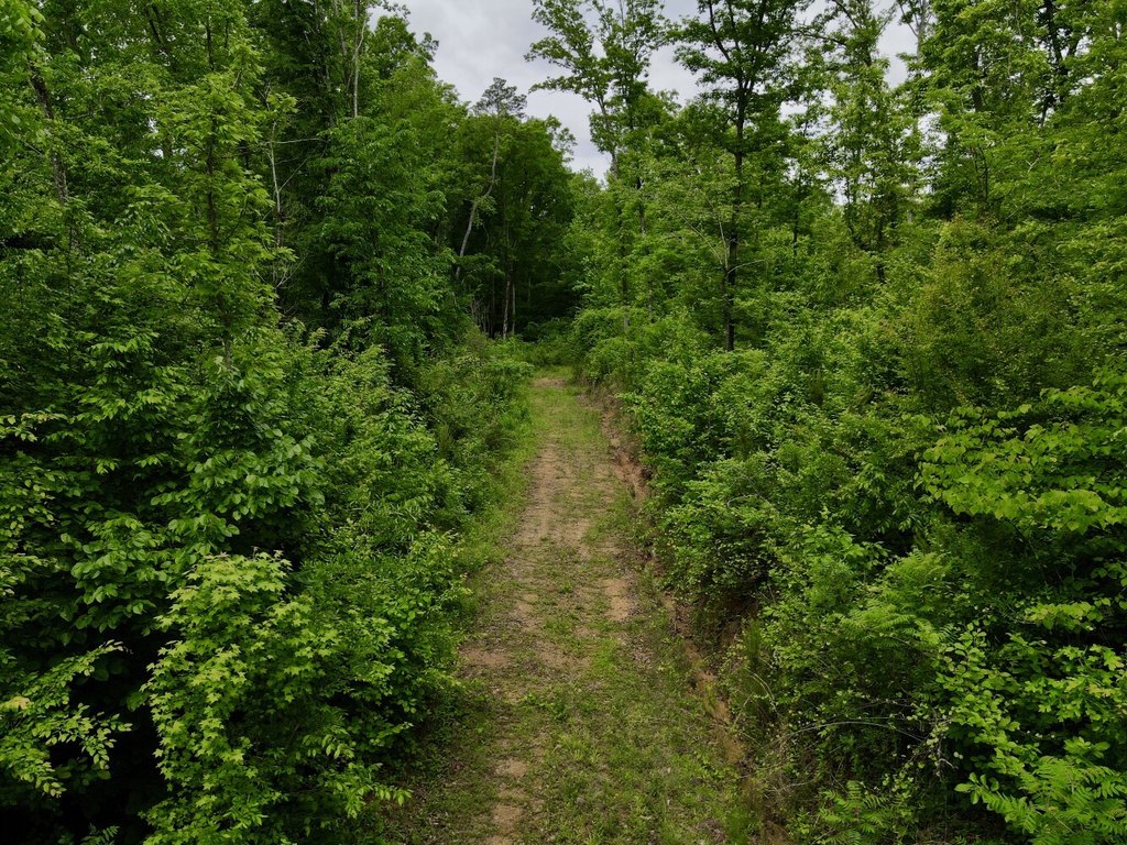 Picture 46