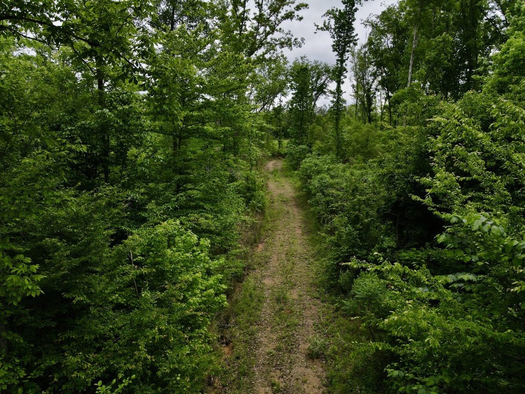 Picture 43