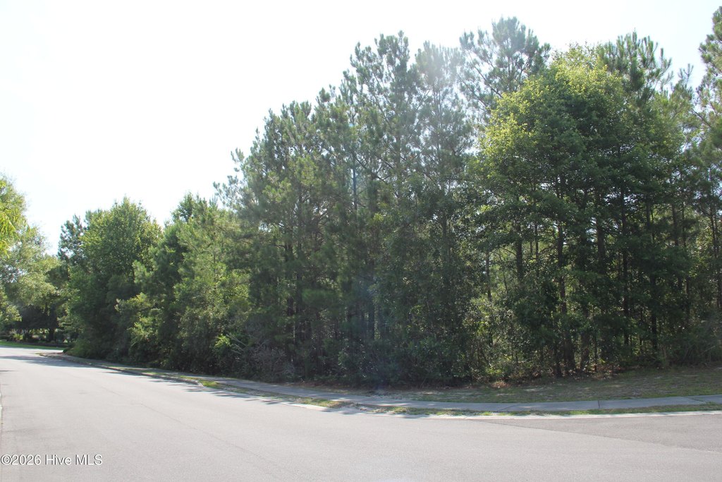 Picture 6