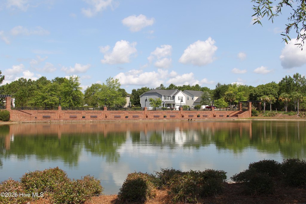 Picture 8