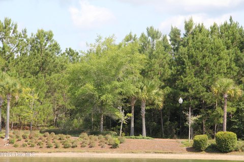 LAND - Shallotte, NC