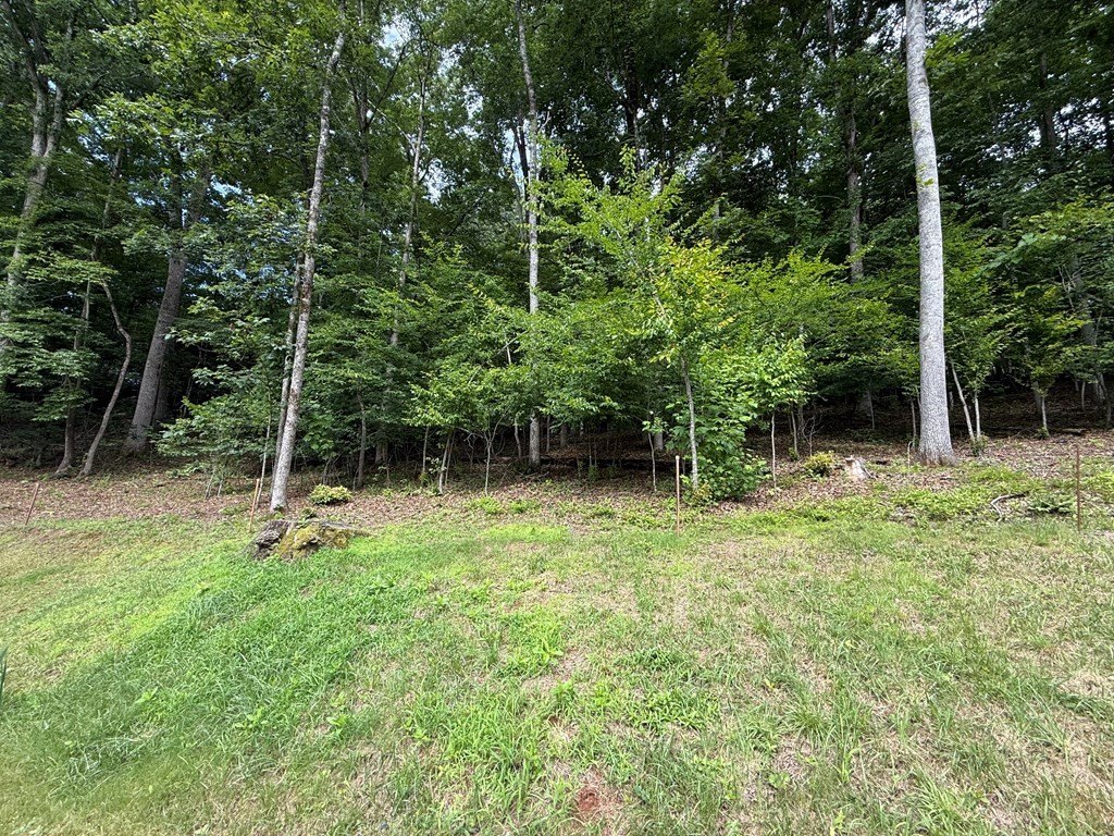 Picture 12