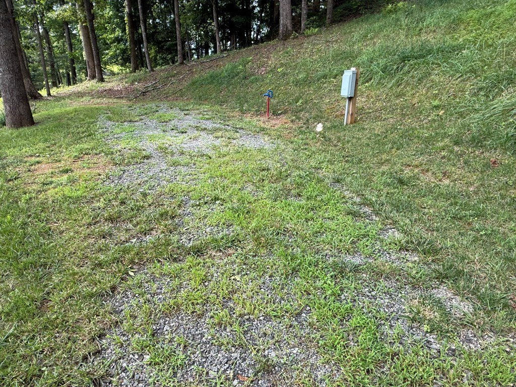 Picture 19