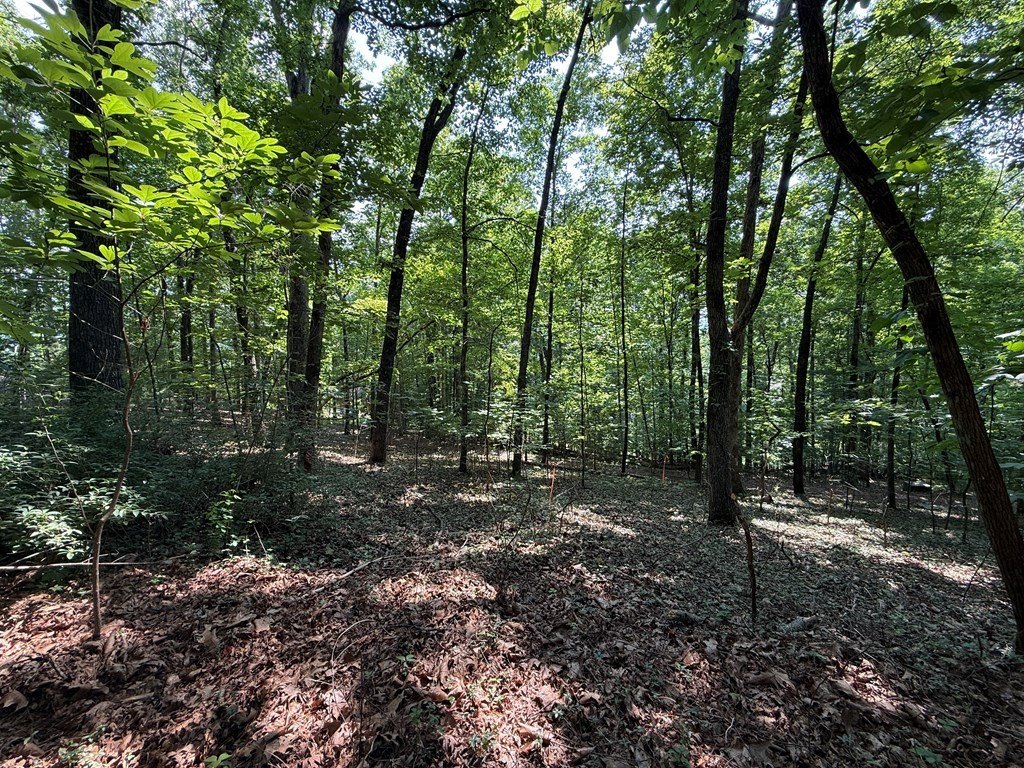 Picture 26