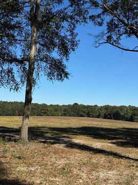 20 Acres of Geneva Land