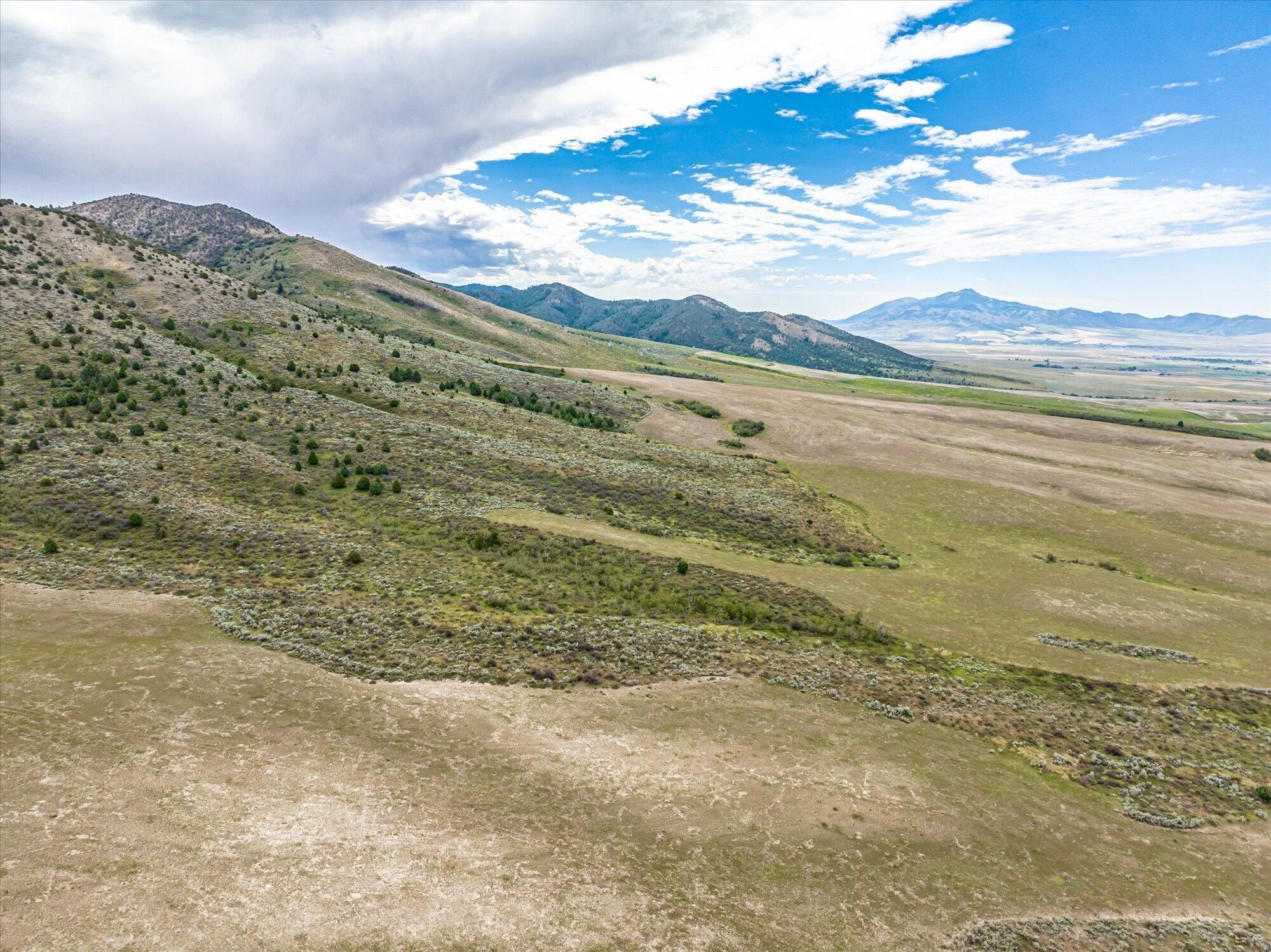 319.7 Acre Estate Ranch Land
