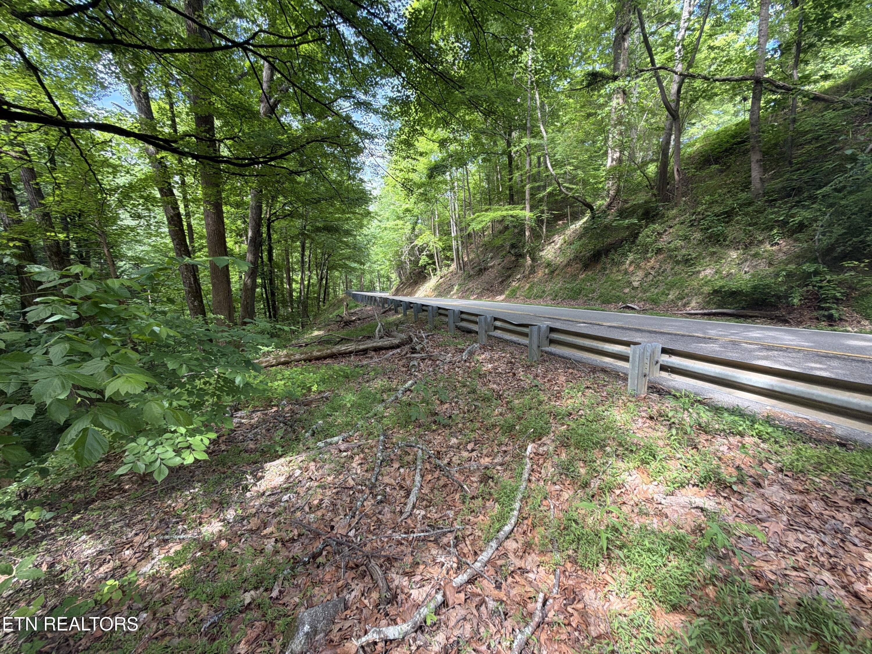 Land on Wears Valley Road