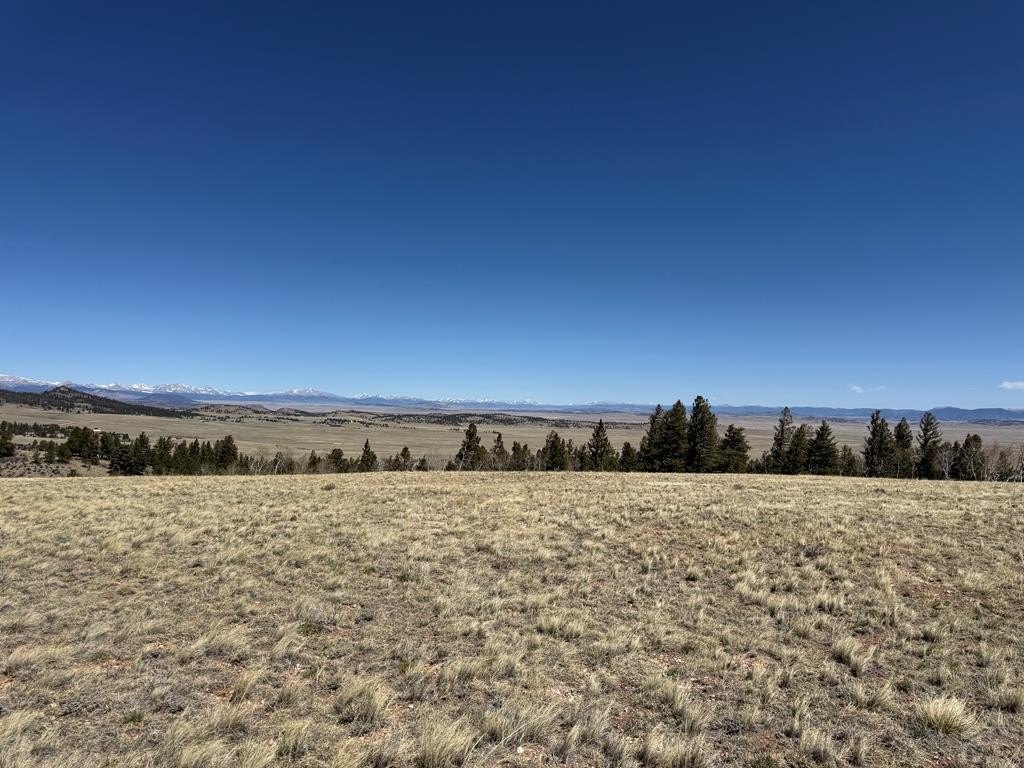 Hartsel, CO Land with Views