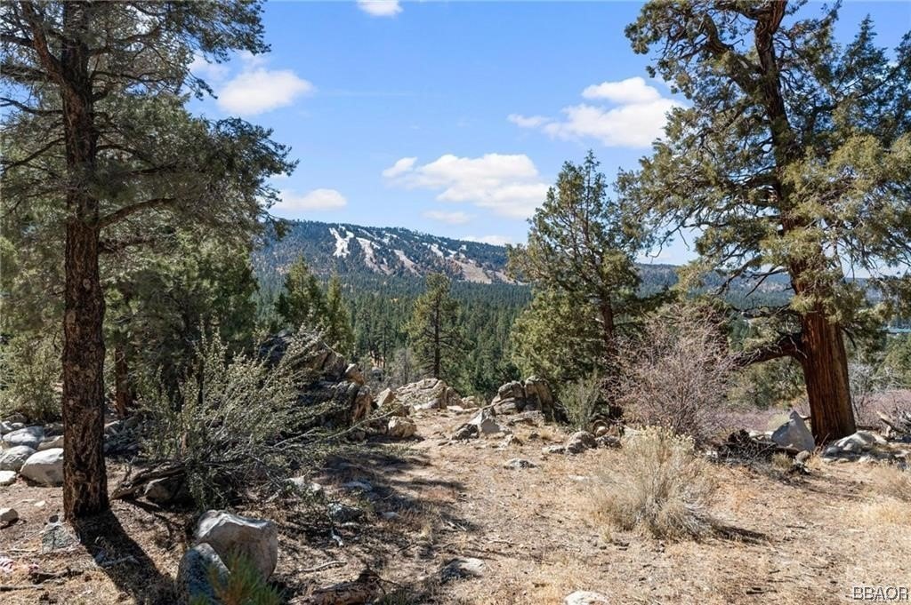 Big Bear Lake Land Parcel