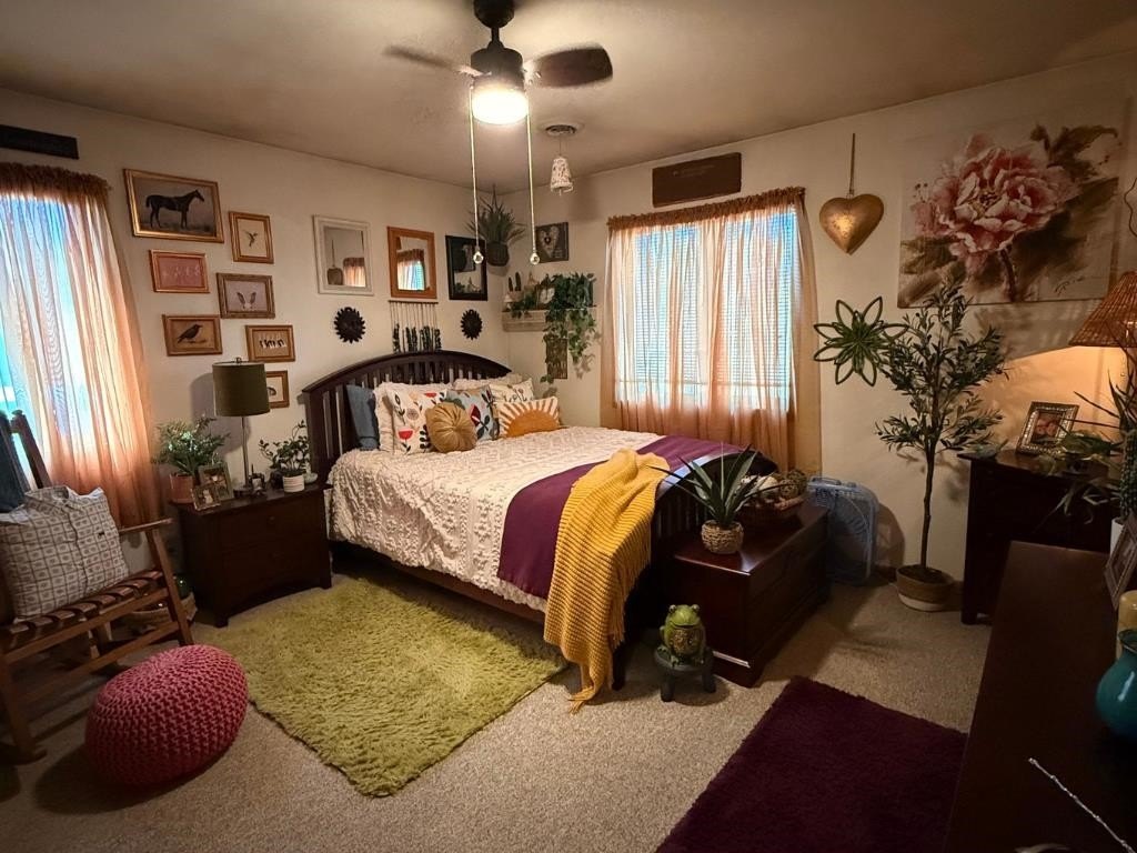 Picture 18