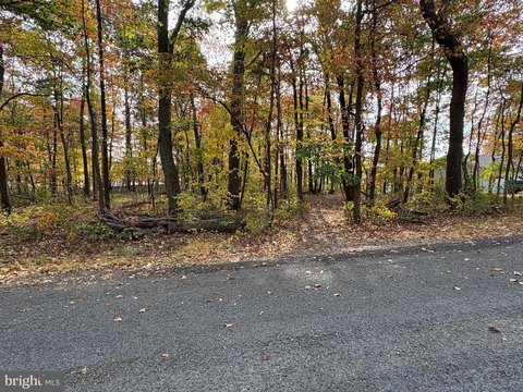 Residential Lot in Winchester, VA