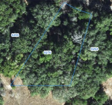 LAND - Citrus Springs, FL
