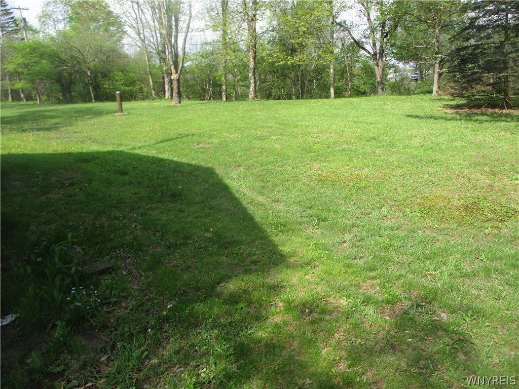 Picture 10