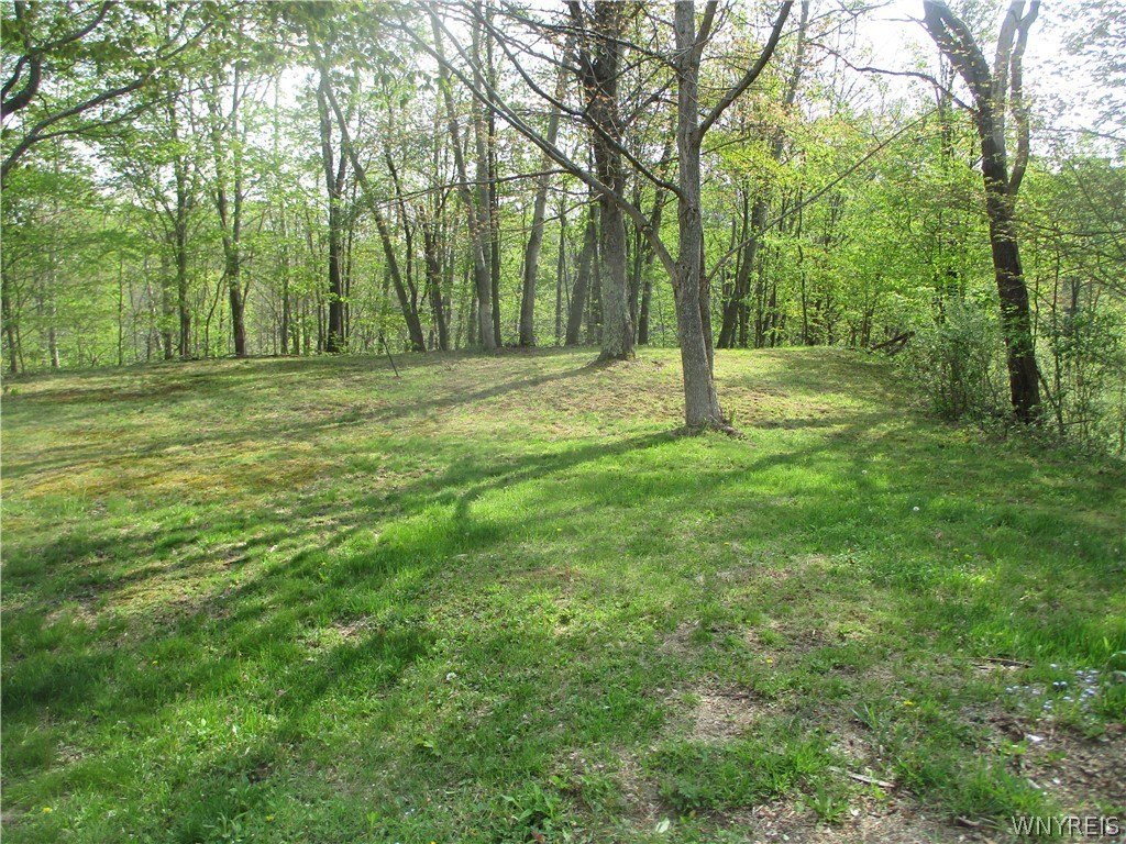 Picture 7