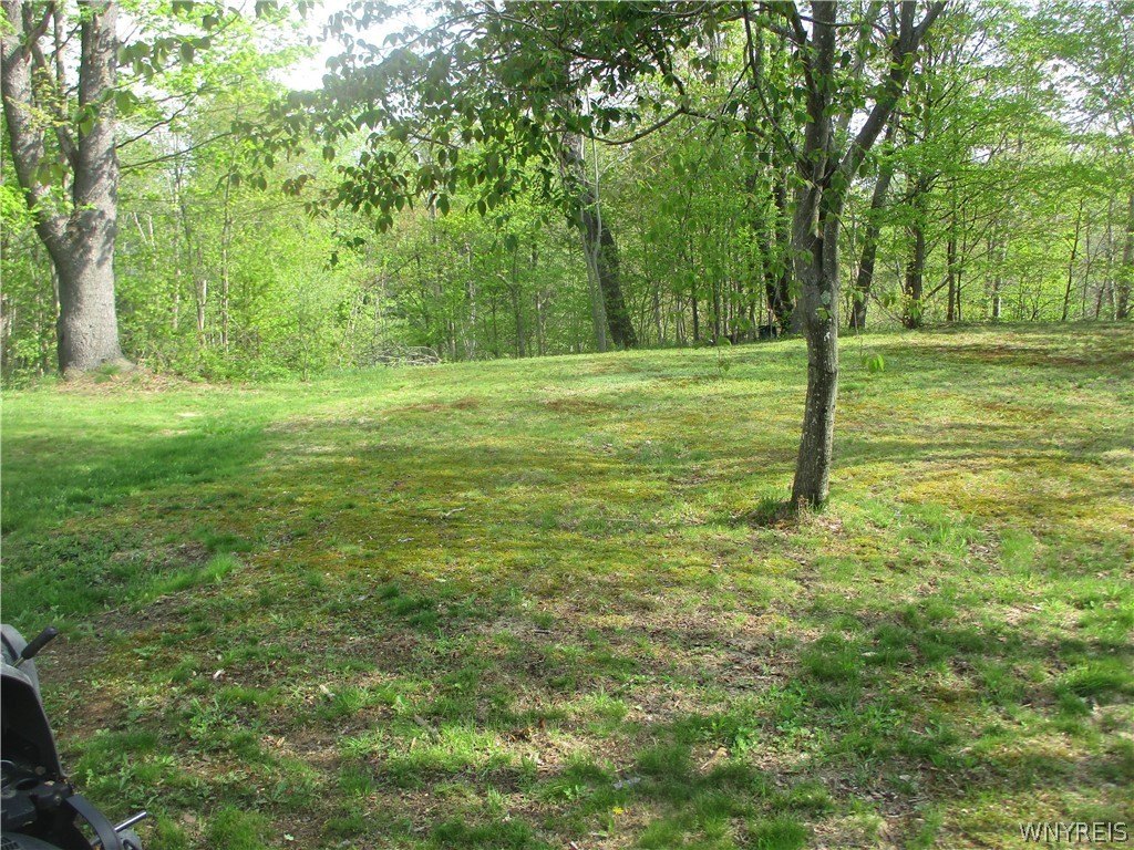Picture 8