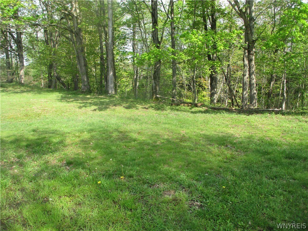 Picture 9