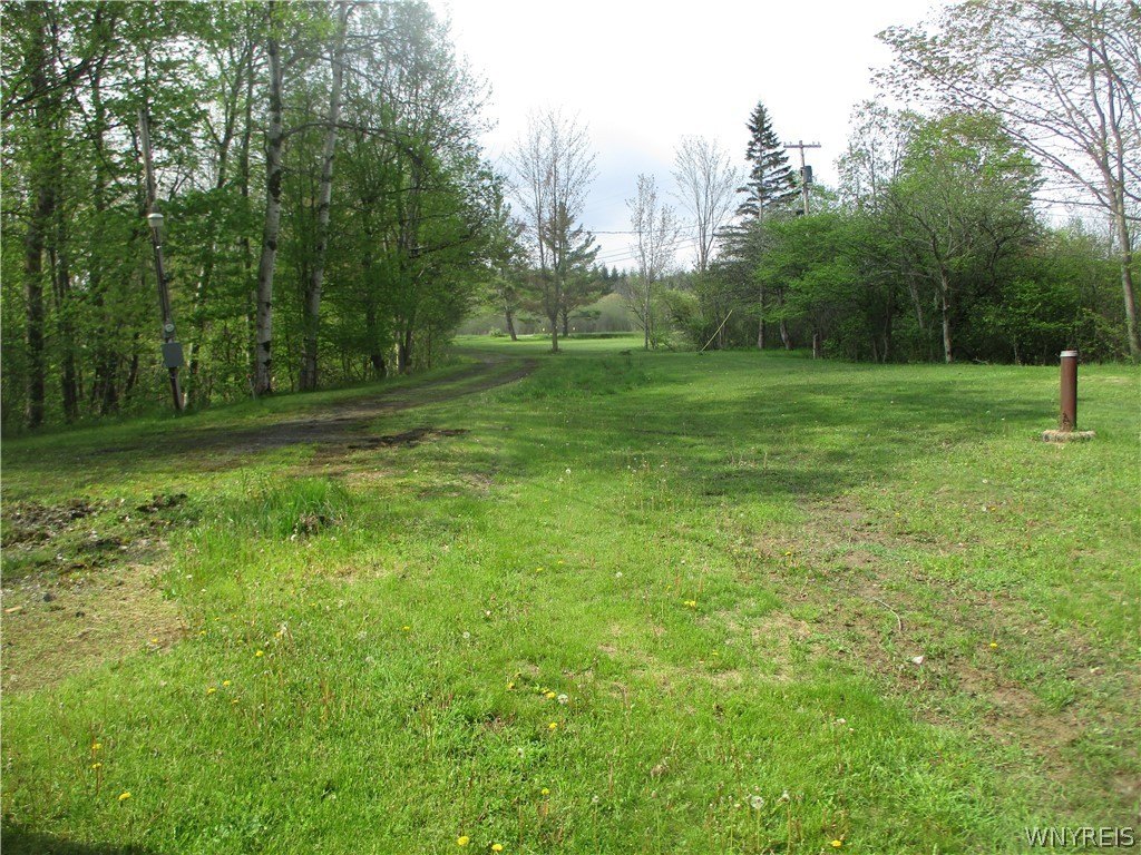 Picture 11