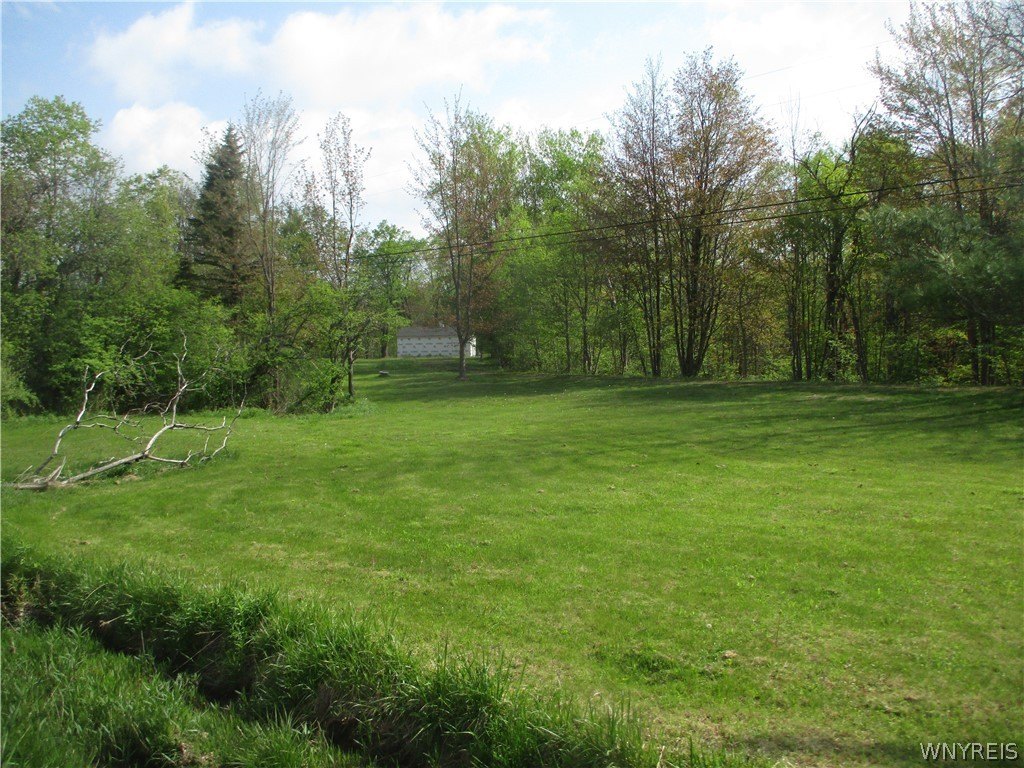 Picture 16