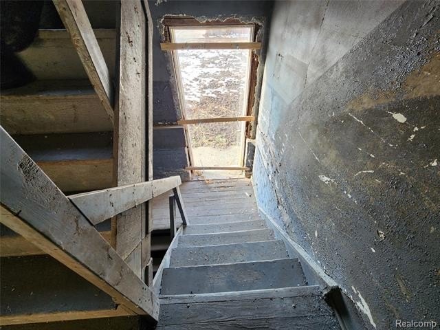 Picture 48