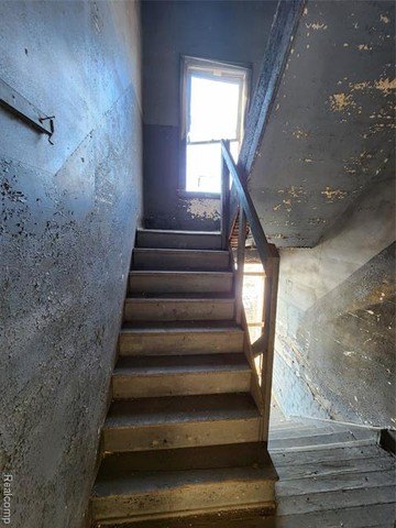 Picture 29