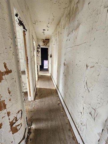 Picture 41