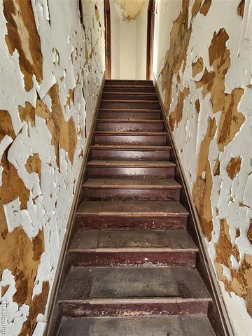 Picture 30
