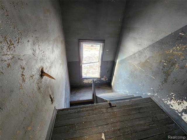 Picture 47